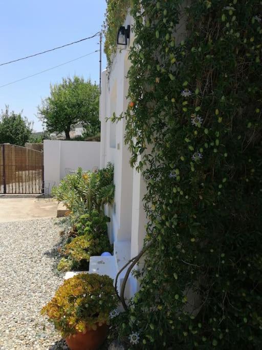Casa Jardin. Vivienda Rural En Zona Tranquila. Villa Lucainena de las Torres Buitenkant foto